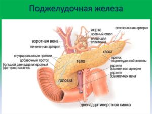 Не переносу панангин болит поджелудочная