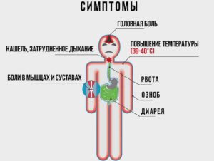 Головная боль, кровь из носа, температура понижена, давление понижено