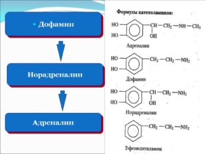 Гормоны дофамин, адреналин, норадреналин, серотонин