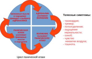 Гормоны при панических атаках