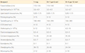 Общий анализ крови ребёнка 3 месяца