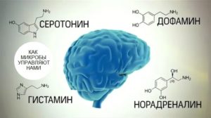 Гормоны дофамин, адреналин, норадреналин, серотонин