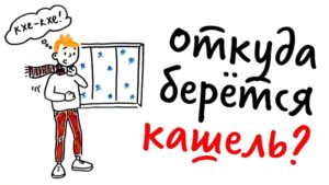 Откуда кашель?