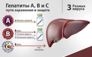 Гепатит С продолжительность 25 лет