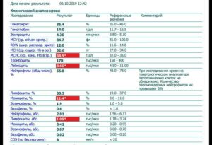 Отразится ли на результате анализа крови бег