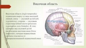 Образование в височной области