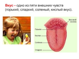 Не чувствую сладкий и соленый вкус