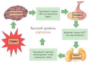 Низкий сахар, высокий кортизол, бесплодие