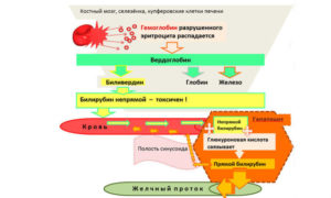 Газообразование, повышенный билирубин