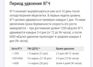 Нормальный ли рост хгч? Нет удвоения каждые 24 часа