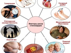 Генетическая предрасположенность к сердечно-сосудистым болезням и диабету