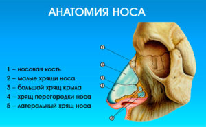 Ноющая боль кости носа