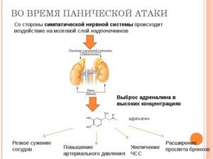 Ночные адреналиновые атаки