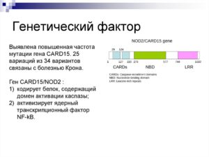 Генетический анализ на болезнь Крона