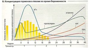 Гормоны при беременности