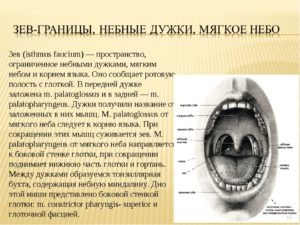 Образования на небной дужке