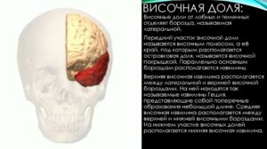 О чем говорят негрубые фокальные нарушения слева в теменно-центрально-височной доле?