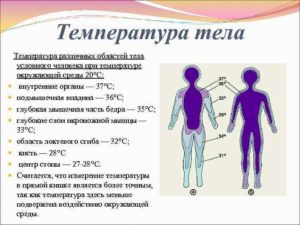 Низкая температура тела мерзнут ноги летом