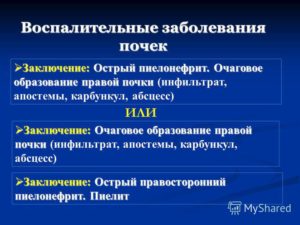 Очаговое образование правой почки