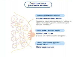 Грудь резко перестала болеть