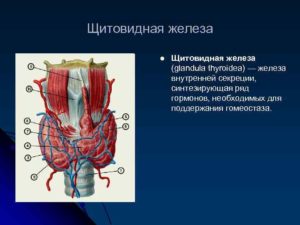 Гиповолемия щитовидной железы