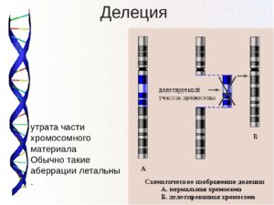 Обнаружена делеция хромосомы