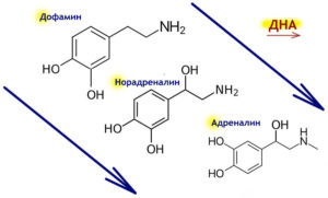 Гормоны дофамин, адреналин, норадреналин, серотонин