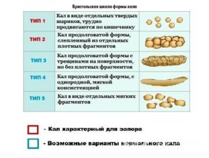 Овечий стул и антибиотики