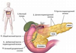 Образование в теле-хвосте поджелудочной