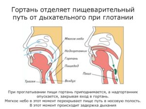 От чего звук при глотании?