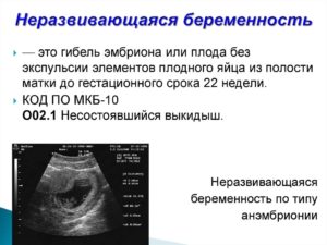 Неразвивающаяся беременность 8-9 недель, гистология