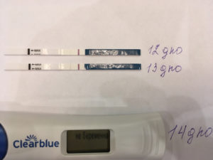 Ошибка теста на беременность