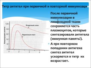 Не опасна ли прививка если есть Антитела