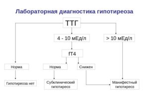 Норма ТТГ при медикаментозно - компенсированном гипотериозе