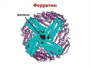 Низкий ферритин, высокий показатель В 12