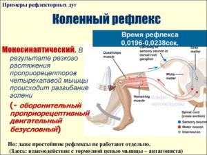 Низкий рефлекс коленных суставов