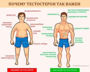 Низкий тестостерон, снижение либидо