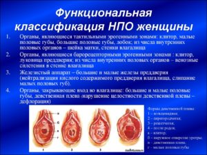 Остатки плевы или кондиломы