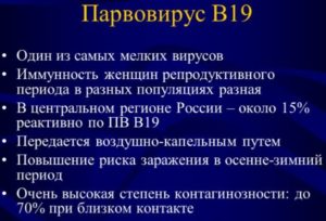 Парвовирус пои беремености