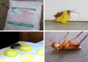 Отравление средством от тараканов