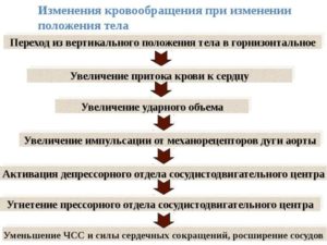 Головокружения в вертикальном положении