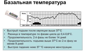 Низкая температура после месячных