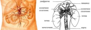 Ощущение кома в области солнечного сплетения