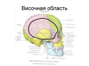 Образование в височной области