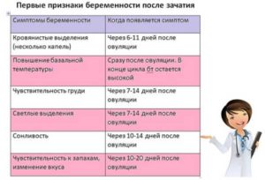 Нет признаков беременности