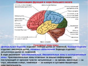 О чем говорят негрубые фокальные нарушения слева в теменно-центрально-височной доле?