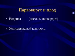 Парвовирус пои беремености