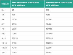 Низкий ХГЧ на 20 неделе беременности