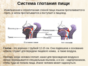 Не могу перестать глотать