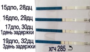 Хгч положительный тест Задержка после постинора